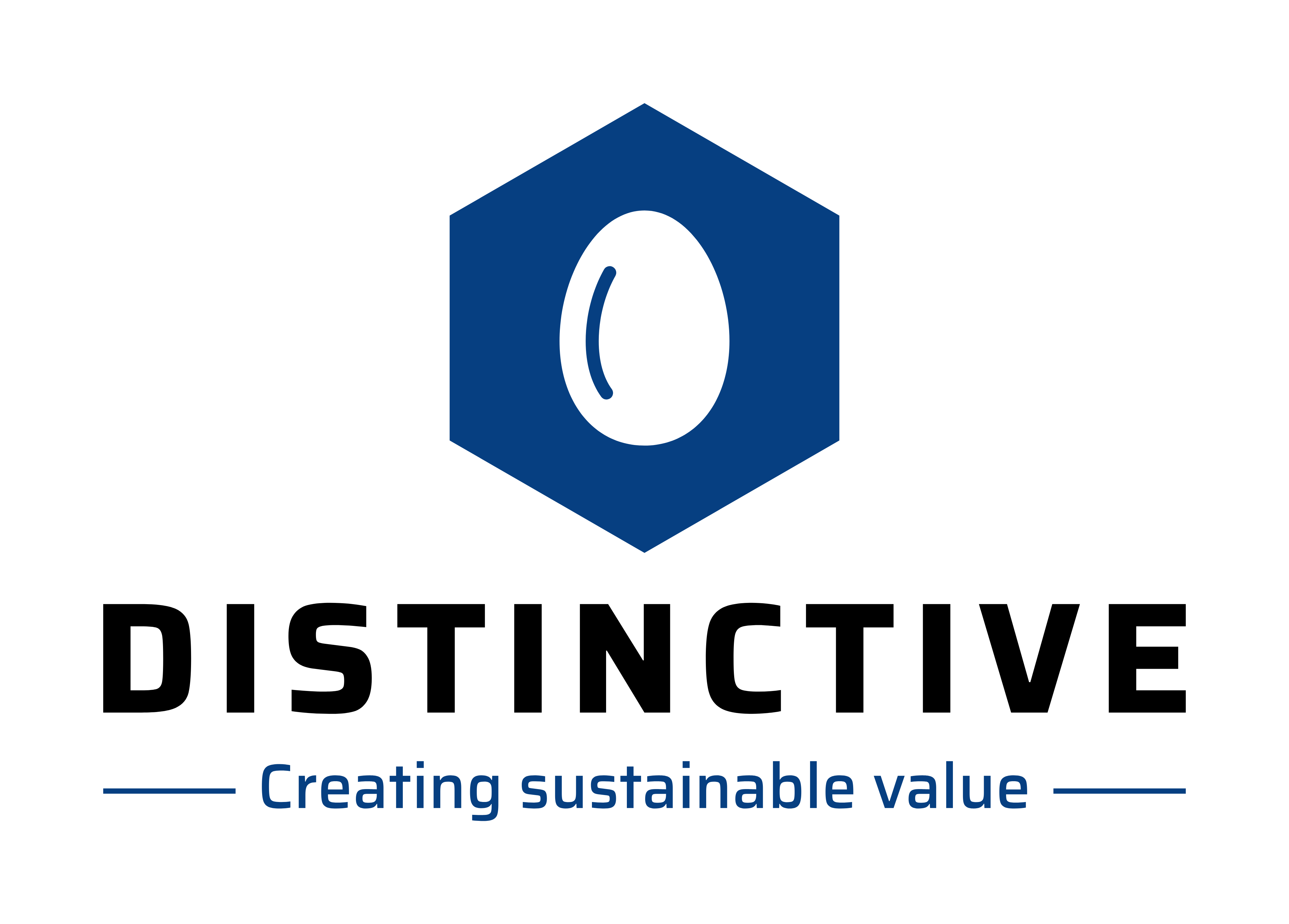 About Distinctive Advisory Creating Sustainable Value